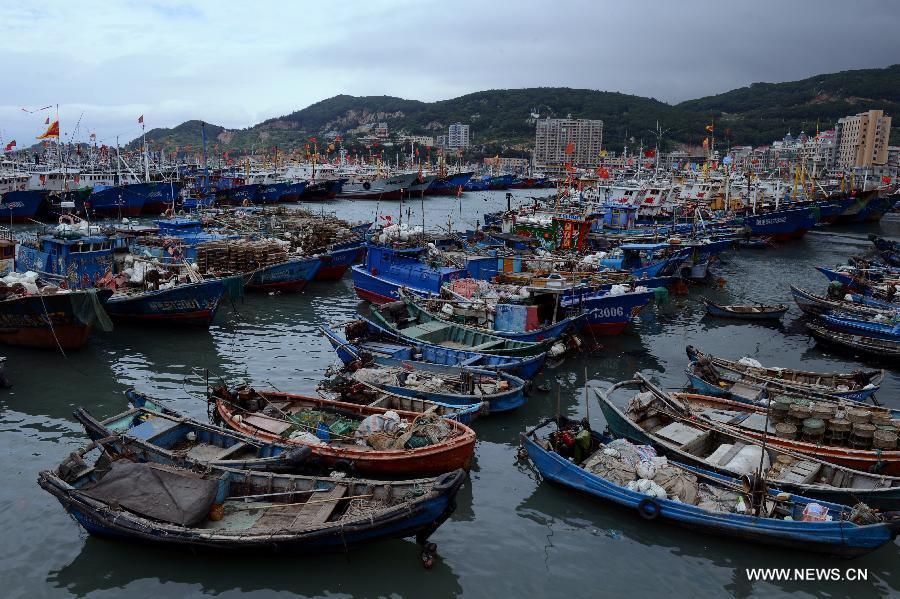 SE China prepares for Typhoon Chan-hom and Linfa(1/5)