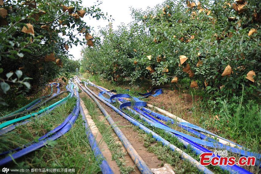 East China city hit hard by drought(1/3)