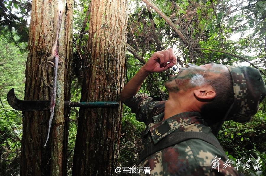 Second Artillery Force conducts special physical training (1/7)