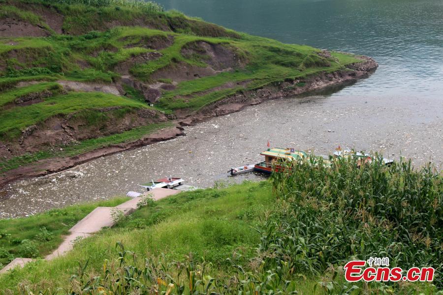 Waterborne garbage affects Yangtze River shipping(1/5)