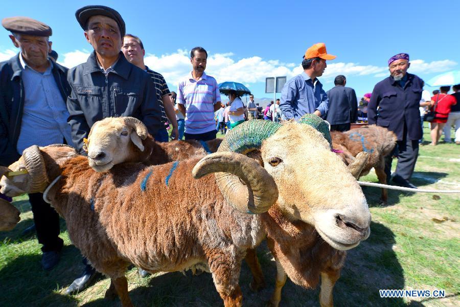People enjoy fun games at goat fair in Xinjiang, China(1/4)