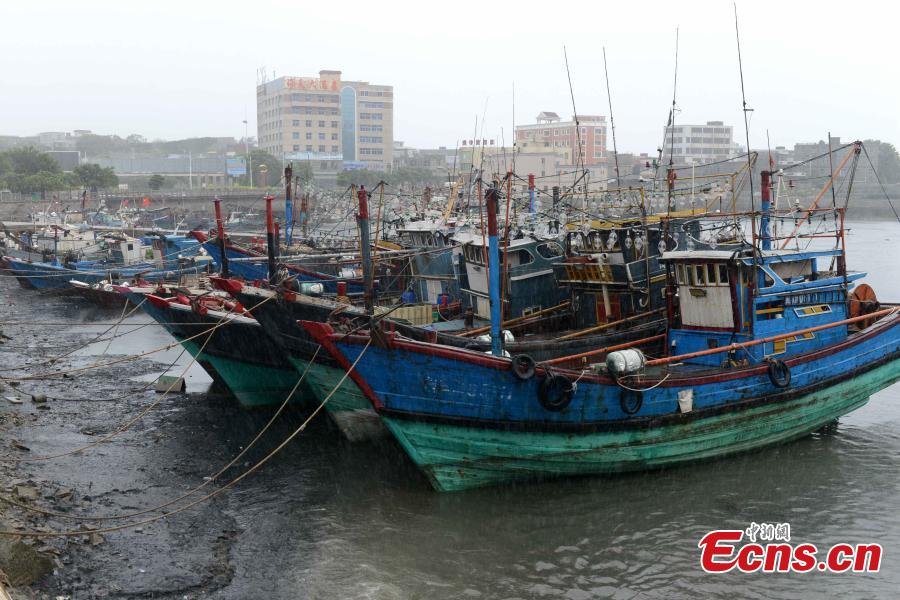 China's Fujian issues highest typhoon alert (1/2)