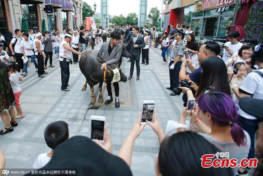 Foreigners play 'Cowherd' to join Chinese Valentine's Day celebration(1/4)