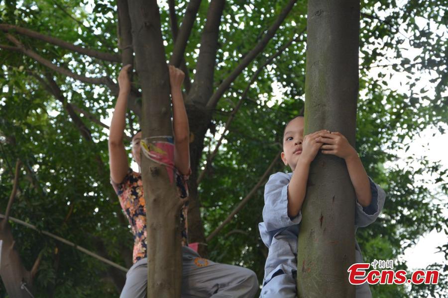 Kung fu admission requirement: holding onto a tree for one hour (1/4)