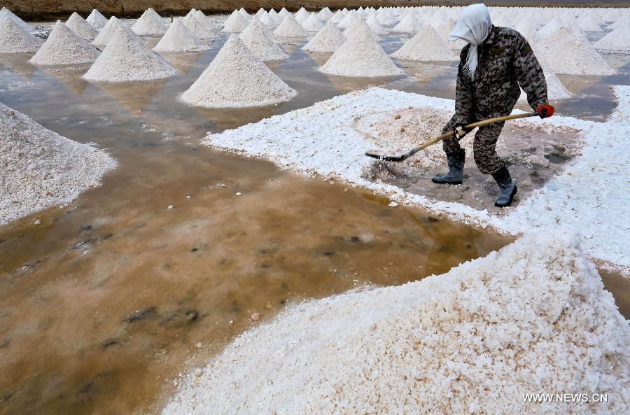 Workers harvest dried salt in Gansu(1/10)