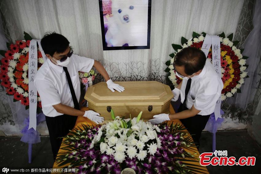 Funeral service puts deceased pets to rest with style(1/4)