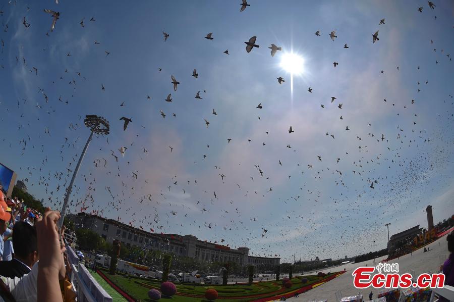 Pigeons released at end of commemoration activities(1/1)