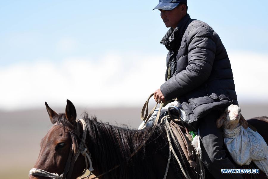 Herdsman families move herds into winter pastures in Xinjiang(1/6)