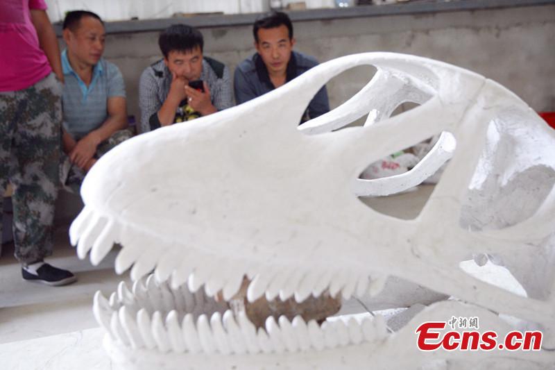 The 'Shanshan dinosaur' might exhibited to public(1/1)