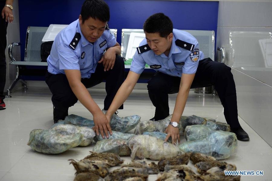 Qiqihaer police cracks down on trafficking products made from wild animals(1/5)