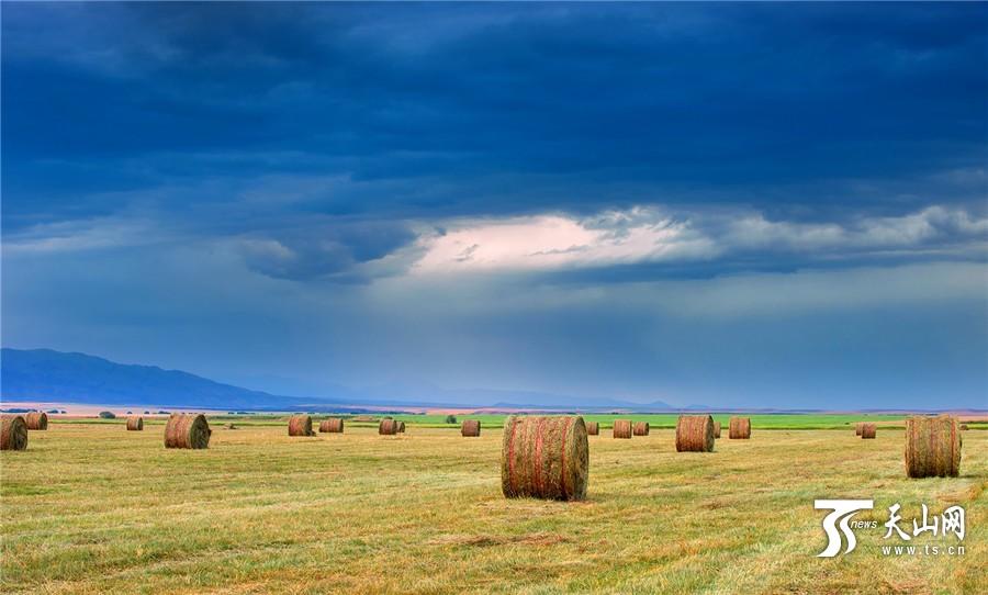 Rolls of grass: a beautiful landscape in Xinjiang(1/12)