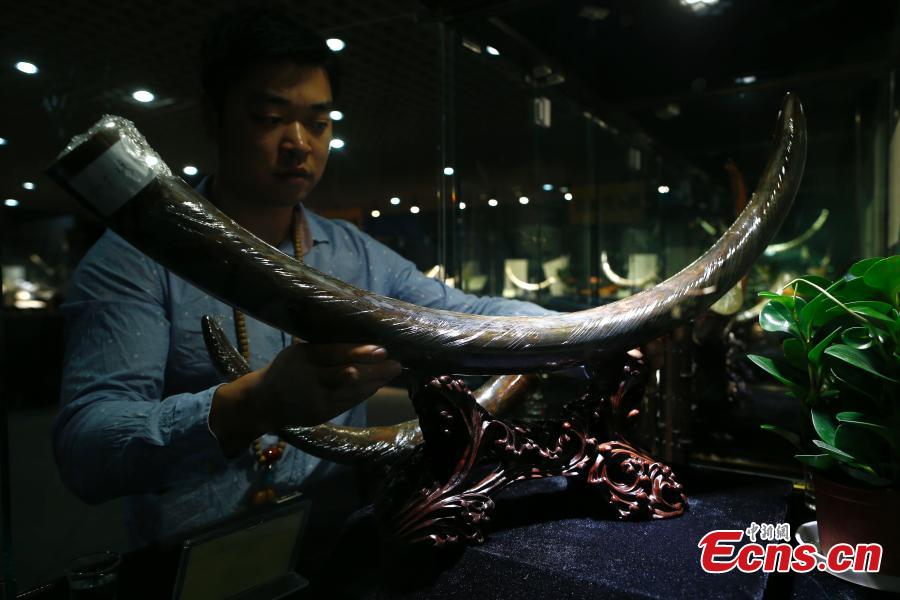 Mammoth ivory carving exhibition begins in Beijing(1/3)