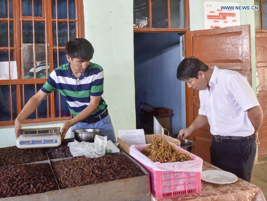 Xinjiang Uygur people lead new way of life thanks to internet(1/9)