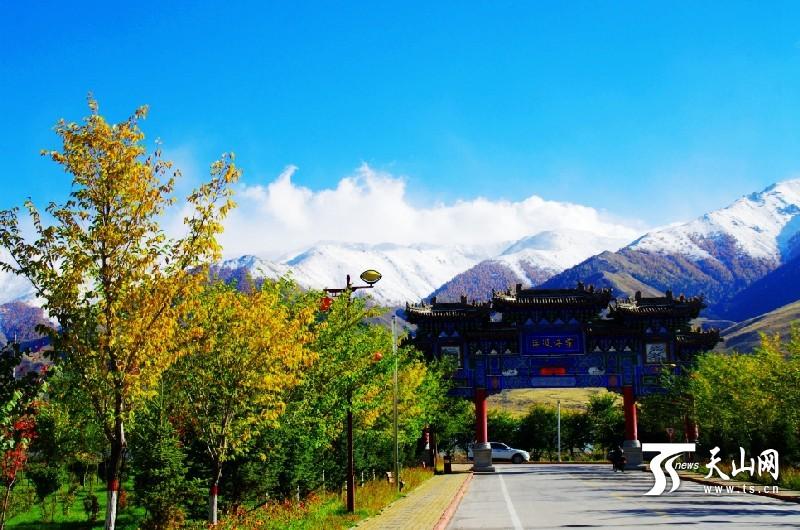 Impressive Autumn Balikun, Xinjiang(1/5)