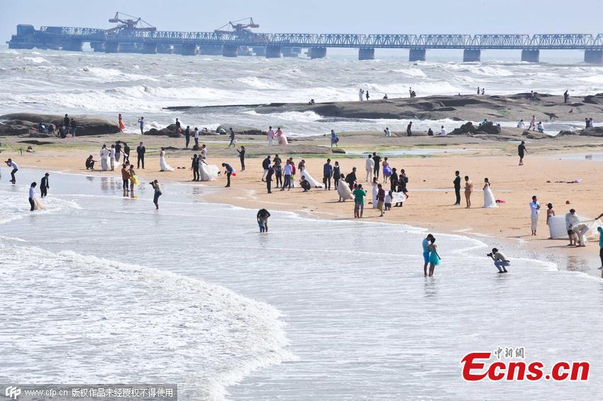 Couples take wedding photos amid wind brought by Typhoon Dujuan (1/4)