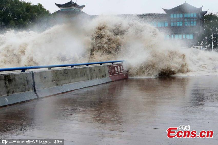 Typhoon Dujuan boosts surging tide of Qiantang River(1/3)