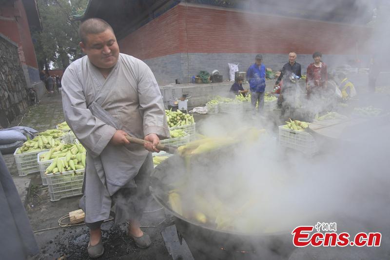 Shaolin Temple shares harvest with tourists(1/5)