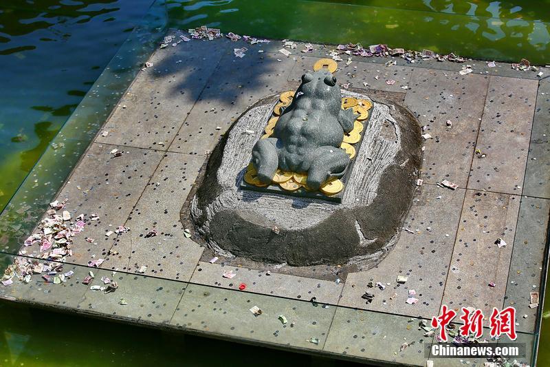 Tourists turn temple pond into wishing well(1/3)