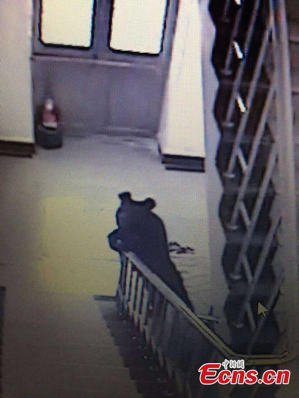 Bear shot dead after breaking into school in NE China(1/3)