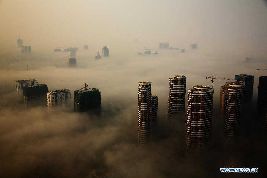 Fog looms over Rizhao(1/4)