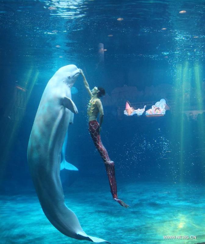 Shark Awareness Day marked in Beijing Aquarium(1/5)