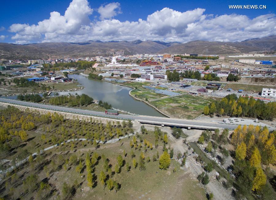 Scenery of Yalong Lingka wetland park in Tibet(1/11)