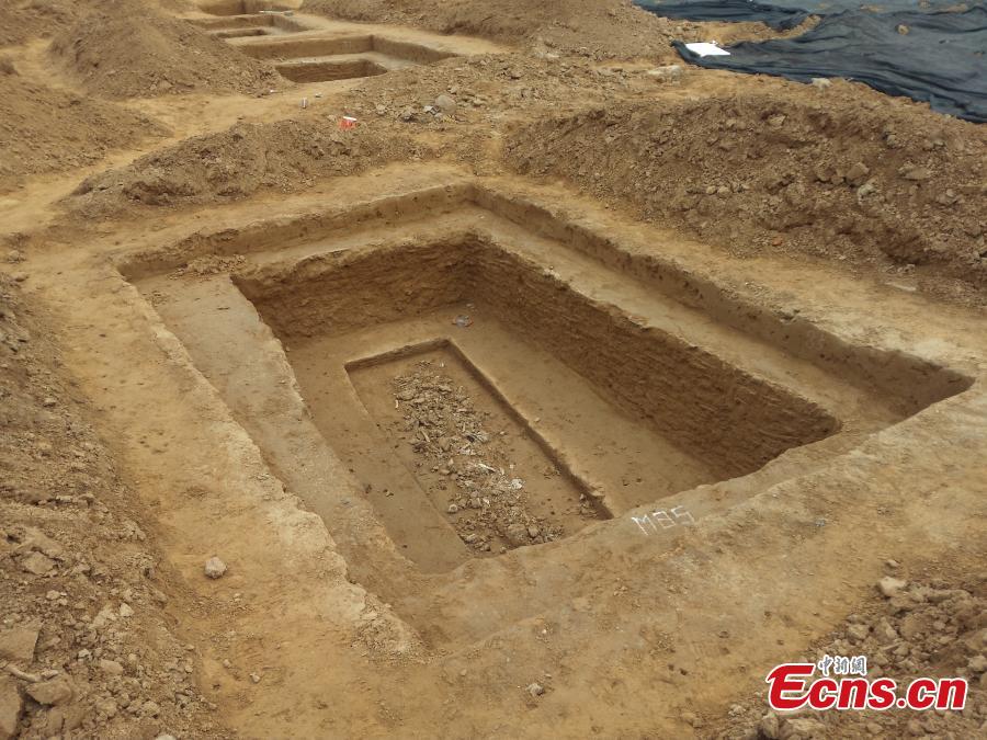 Ancient graves found beneath primary school playground(1/3)