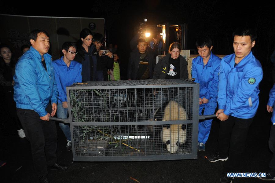 Returnee panda Fubao sent back to home(1/3)