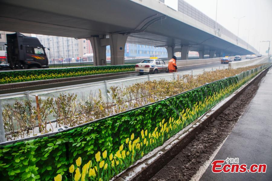 Fake green belt seen in NE China city(1/3)
