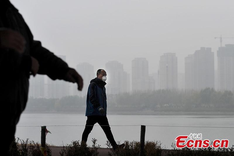 Smog envelopes China's Shenyang(1/2)