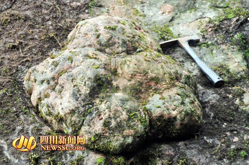 Dinosaur footprint discovered in SW China (1/4)