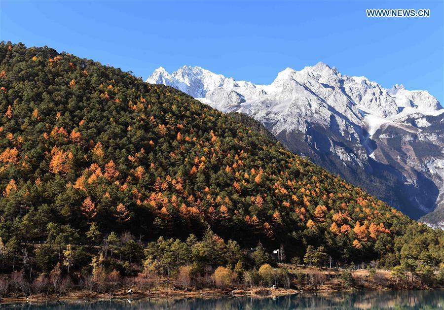 Dreamland in winter: Yulong Snow Mountain in Yunan(1/14)