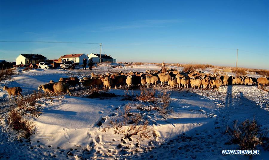 Snow-covered Xilingol League Grassland in Inner Mongolia(1/5)