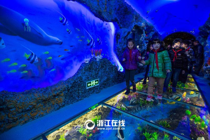 Marine museum built in primary school in Hangzhou(1/7)