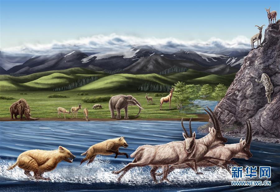 Fossils of bone-cracking hyena 4 mln years ago found in Tibet (1/3)