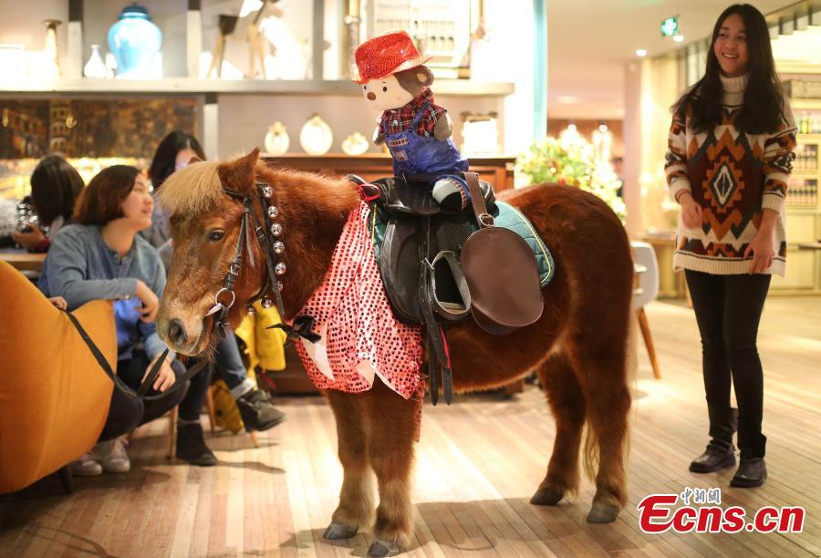 World famous Pony greets Year of the Monkey in Nanjing(1/5)