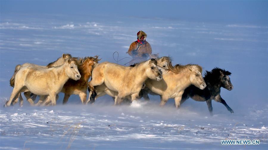 Opening ceremony of horse folk culture kicks off in Inner Mongolia(1/7)