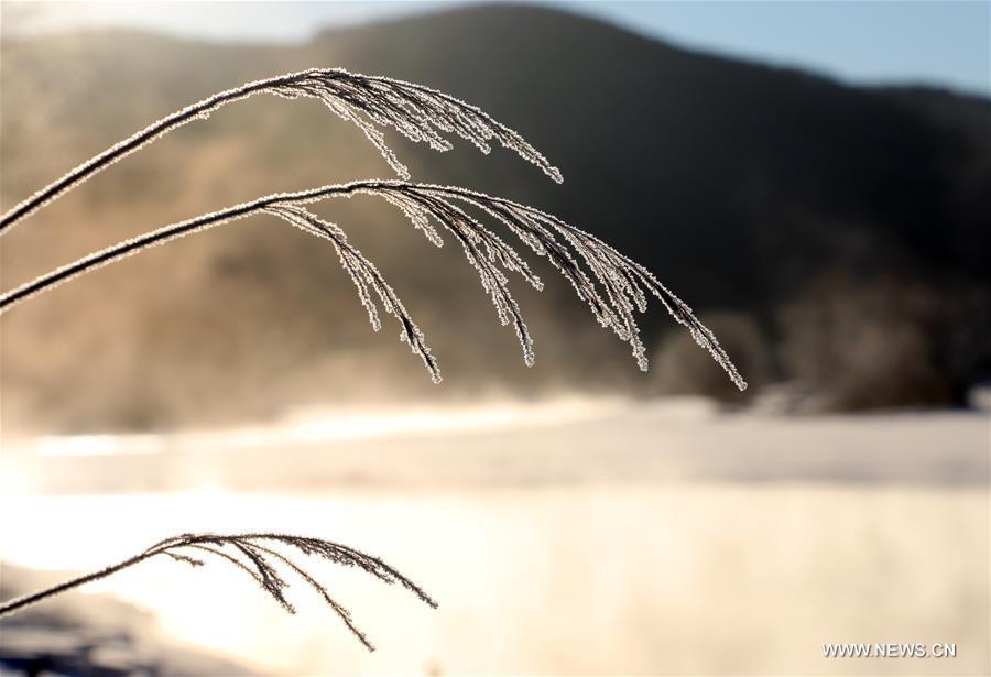 Scenery of mist-enveloped Ganhe River in Heilongjiang(1/5)