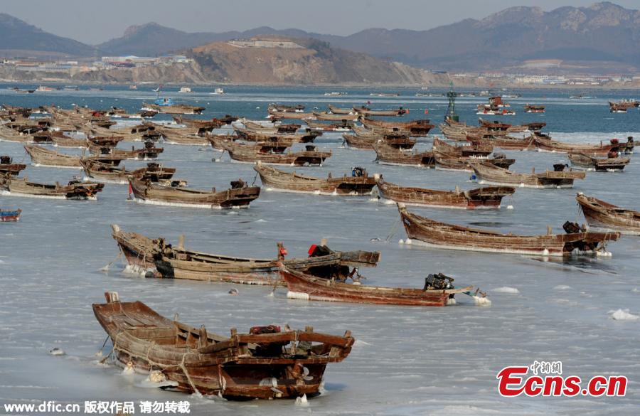 Cold front freezes fishing boats(1/4)