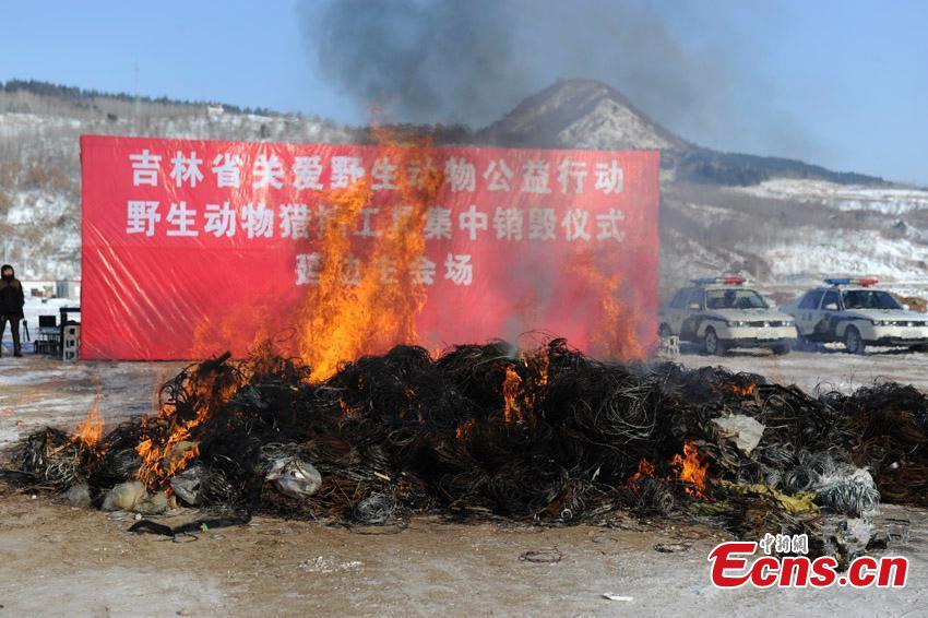 NE China destroys 80,000 hunting devices(1/6)