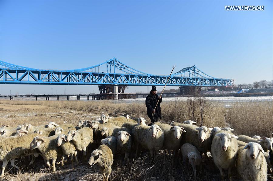 Railway, highway combined bridge in E China(1/7)