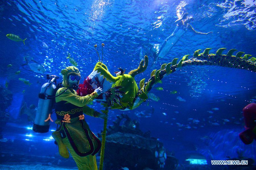 'Monkey King' performs dragon dance in underwater tunnel in Tianjin (1/9)