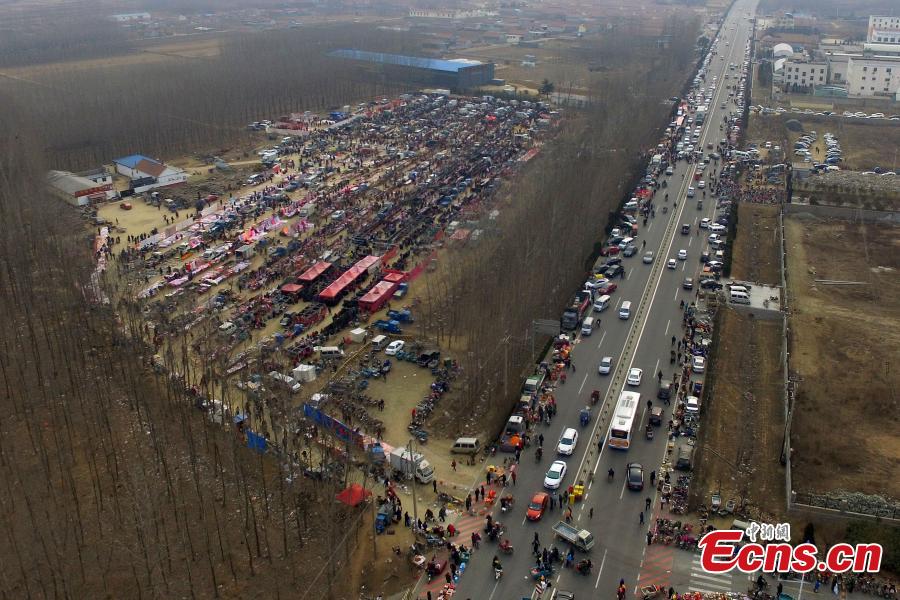 Busy market for Spring Festival(1/3)
