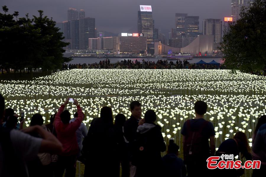 LED Rose Garden seen on night before Valentine's Day in Hong Kong(1/4)