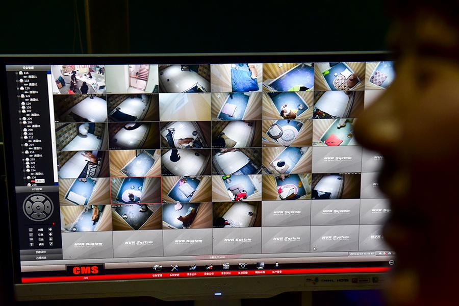 Sitting in the lap of luxury at a Chinese pet hotel(1/6)