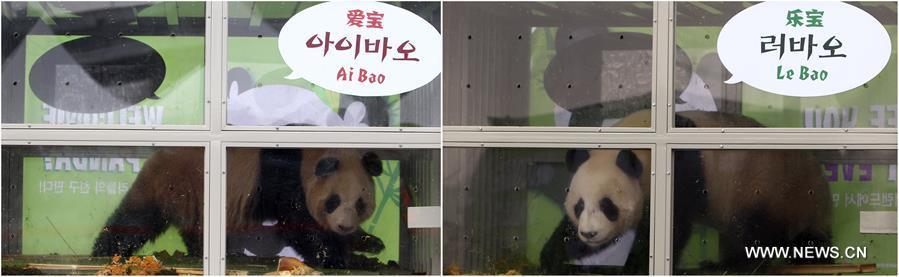 China's panda pair arrive in S.Korea for 1st time in 22 years(1/7)