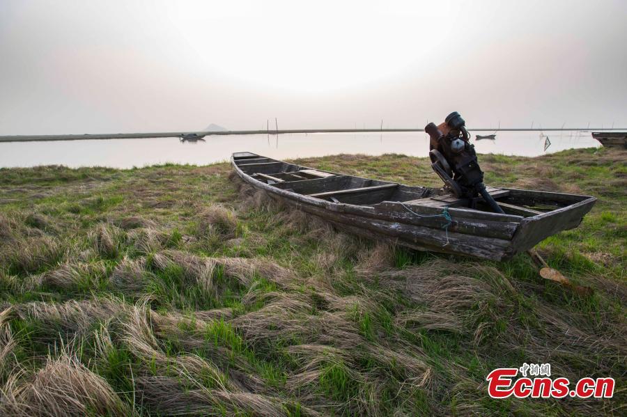 China's largest freshwater lake shrinks(1/5)