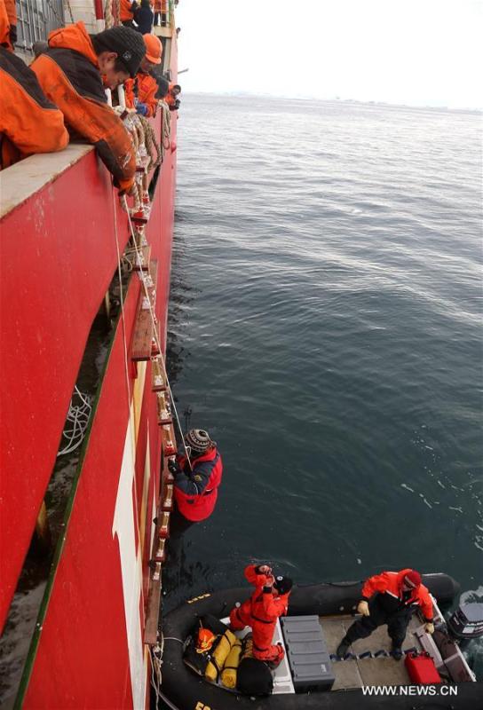 Icebreaker Xuelong helps carry researchers and goods in Antarctica(1/3)