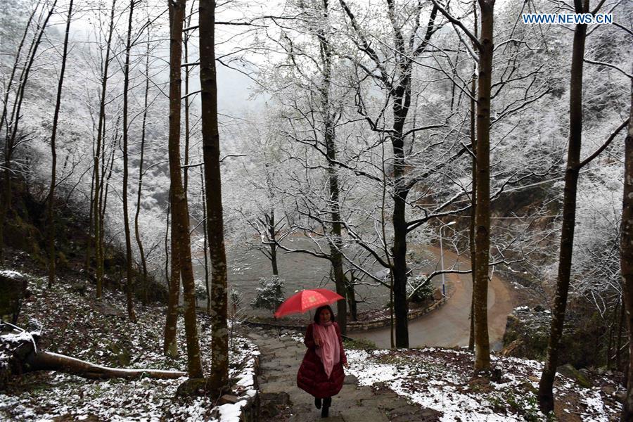 Blue alert of cold front issued for most parts of China(1/7)