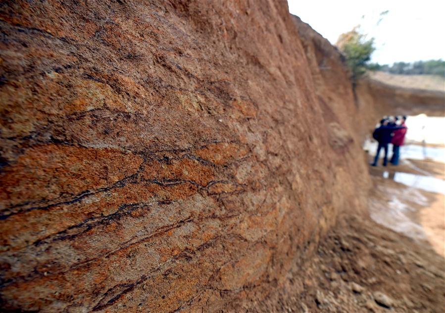 Oldest large water conservancy projects discovered in Zhejiang(1/6)